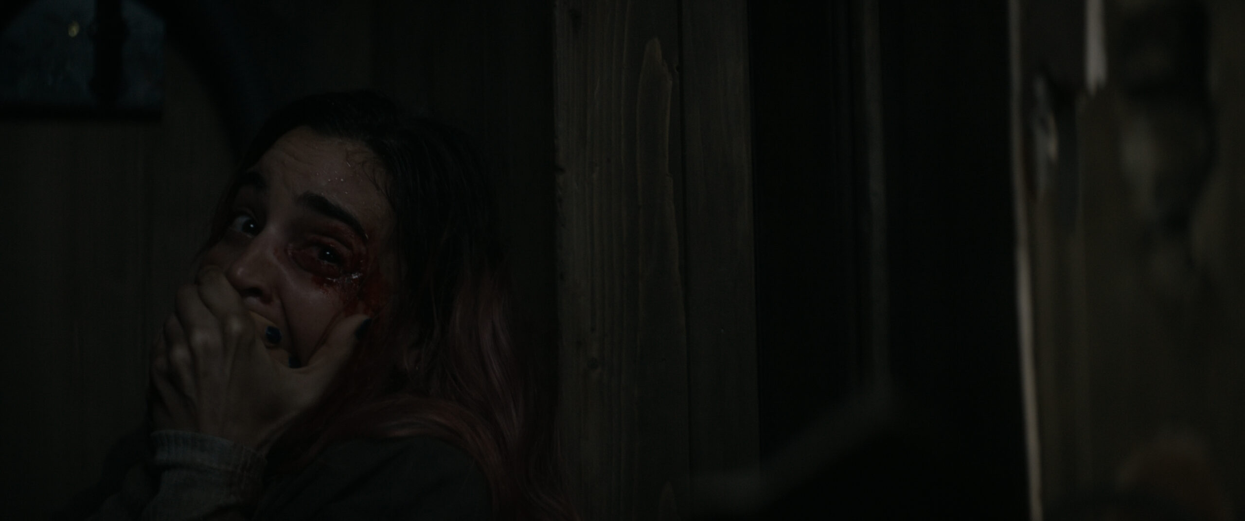 Evil Dead Burn - still officiel