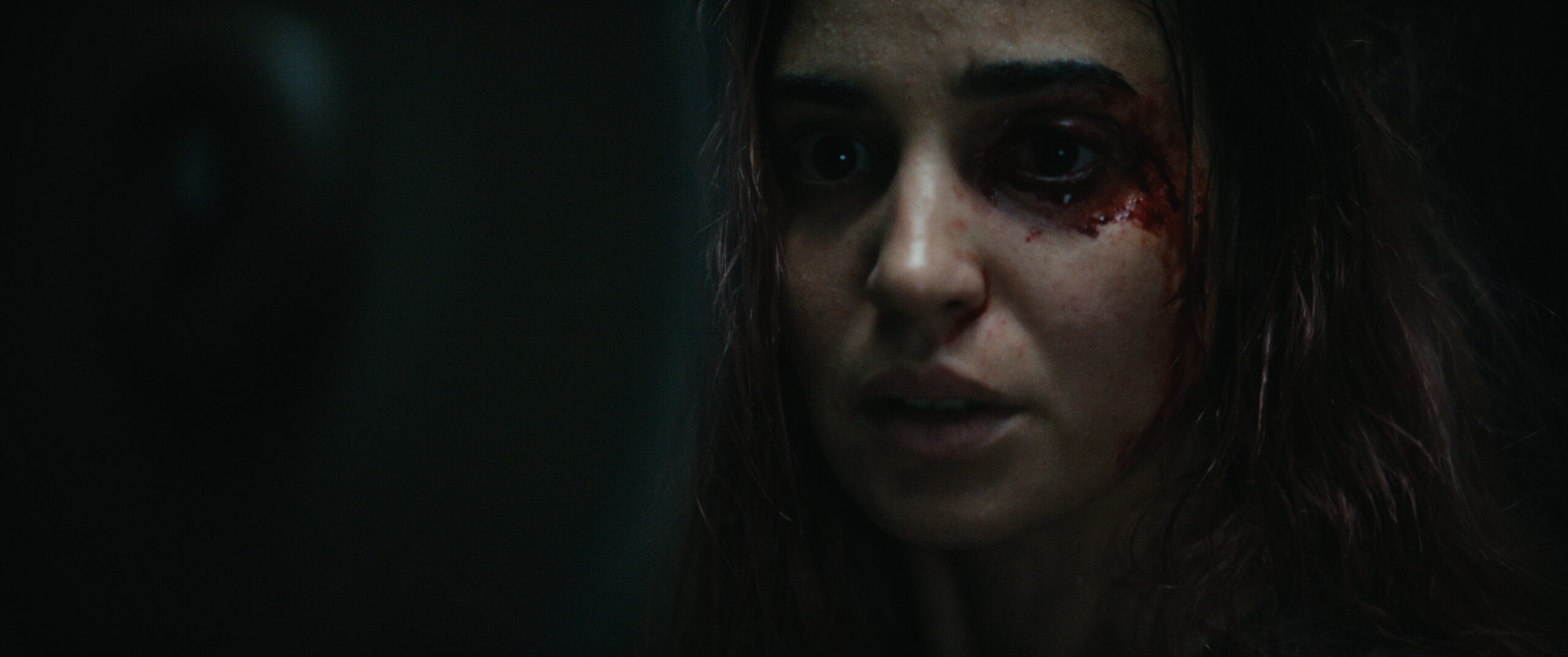Evil Dead Burn - still officiel