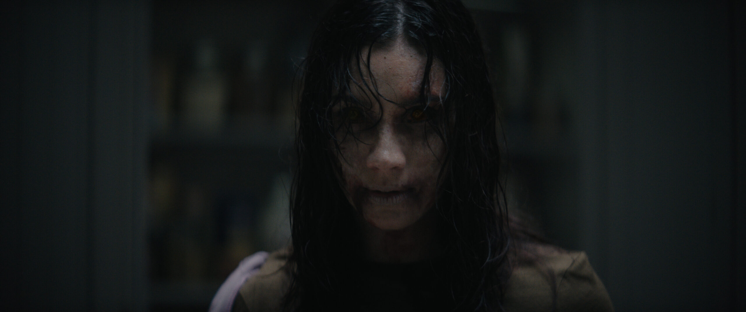 Evil Dead Burn - still officiel