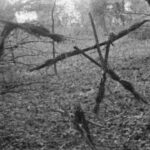 The Blair Witch Project – annonce 2027