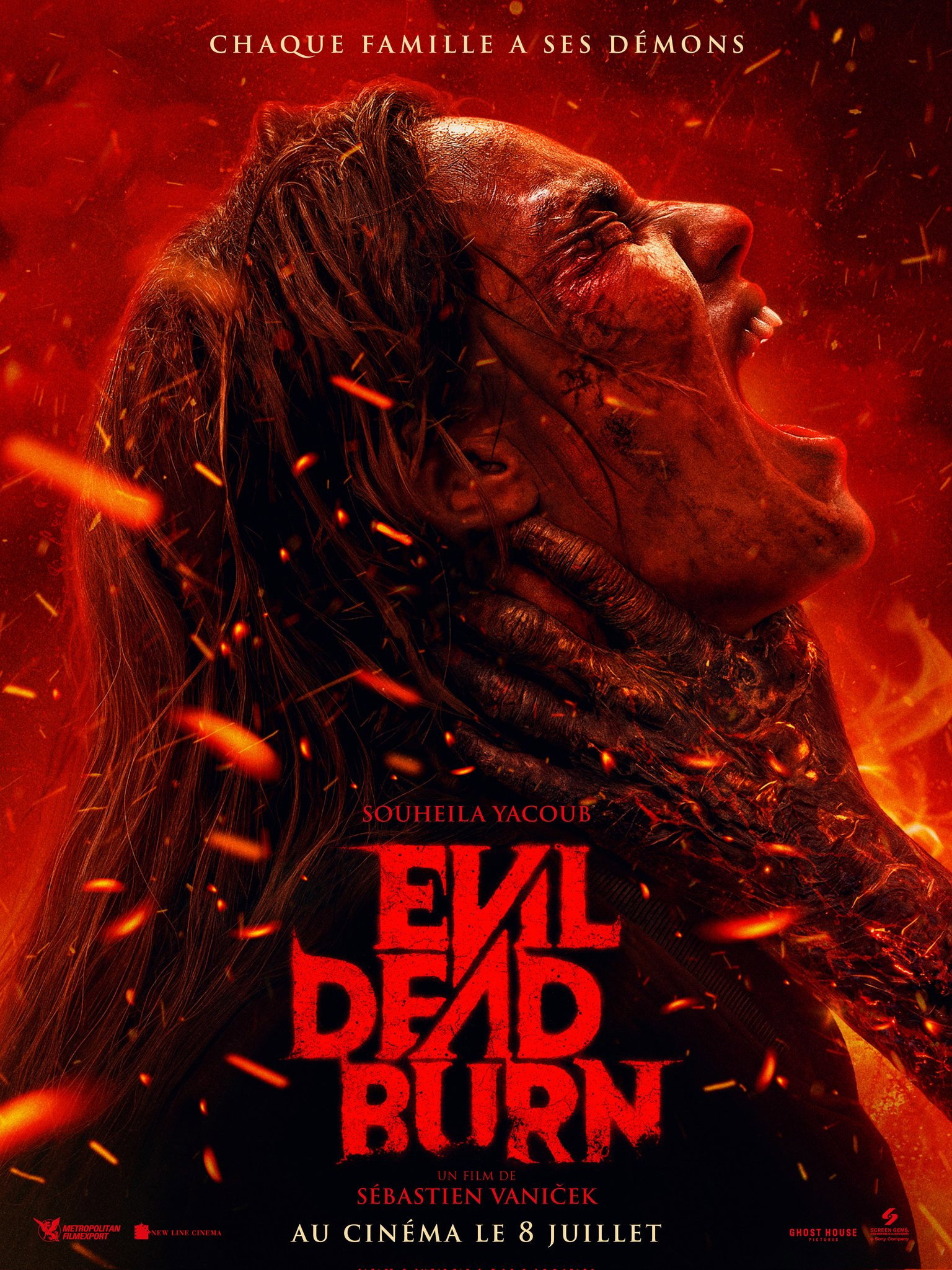 Affiche officielle du film Evil Dead Burn