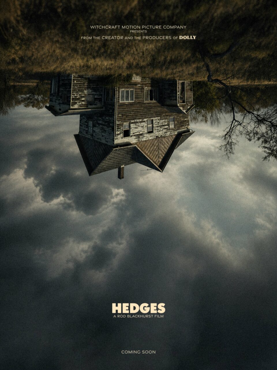 Affiche officielle du film Hedges de Rod Blackhurst