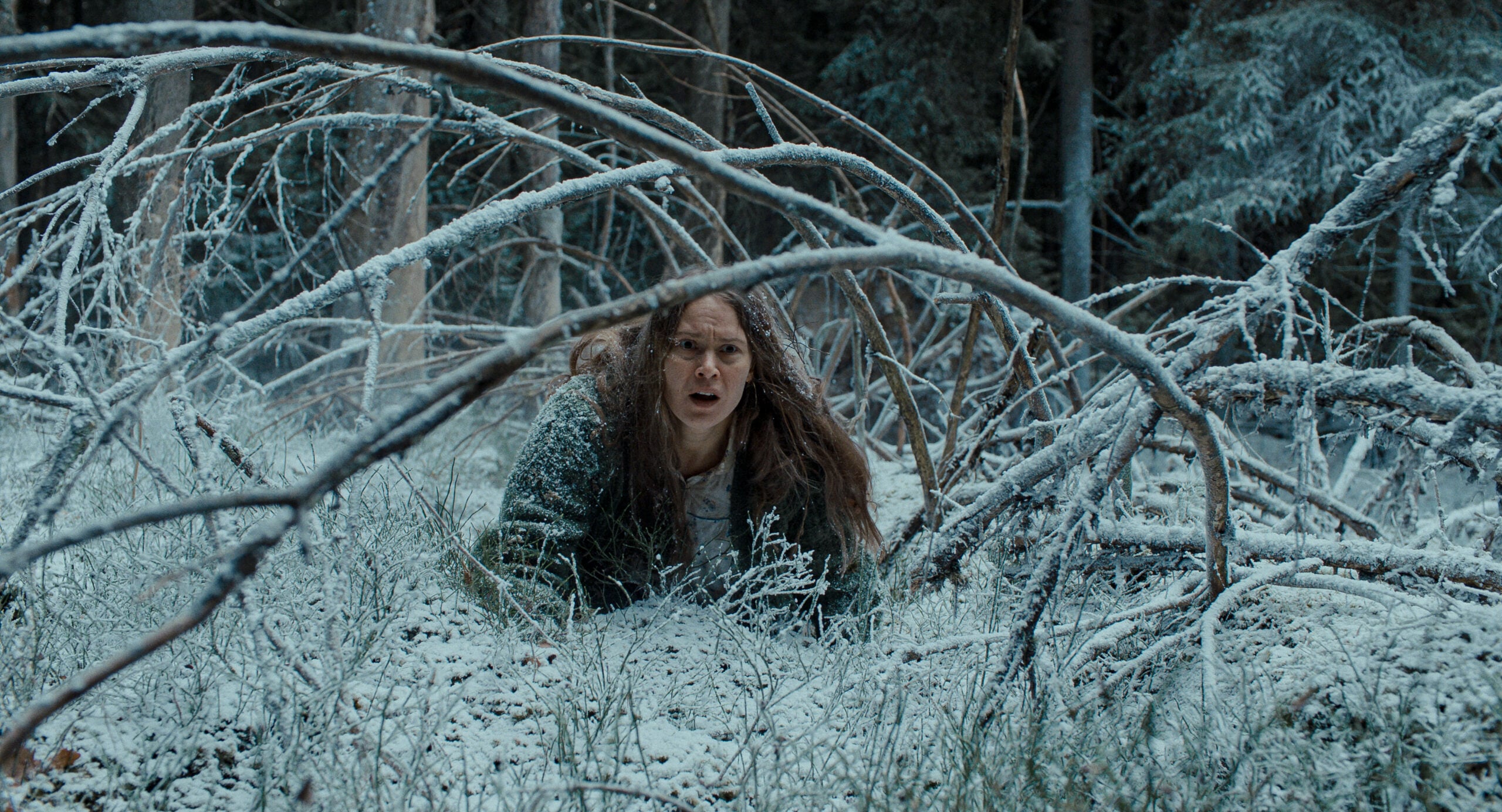Nightborn, affiche officielle du film de Hanna Bergholm