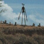 La créature Siren Head, silhouette squelettique géante avec une tête en forme de sirènes, dans un cimetière