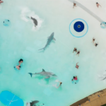 Water Park Shark - bande-annonce du film de requins avec Anthony C. Ferrante