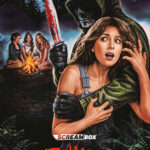 Affiche du film Deathwoods