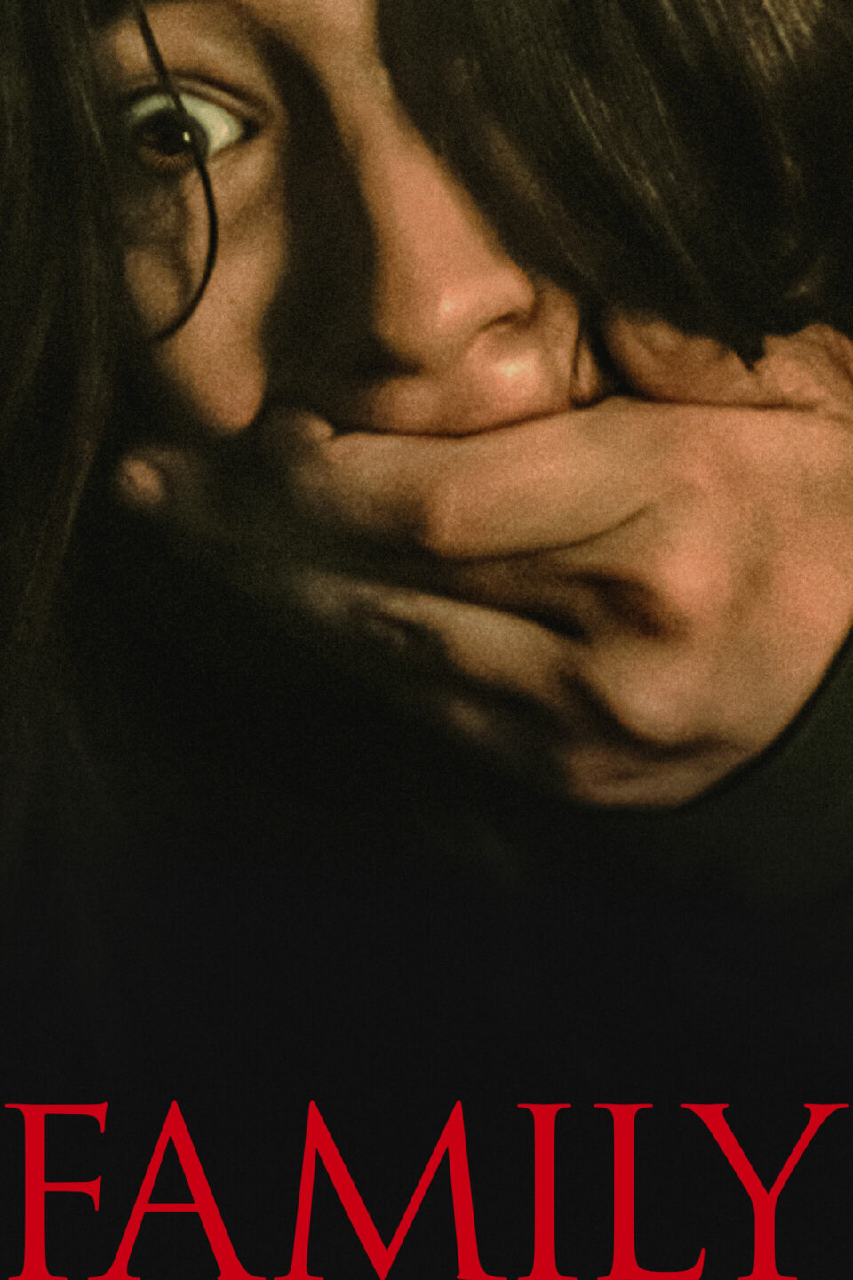 Affiche officielle du film Family de Benjamin Finkel avec Ruth Wilson