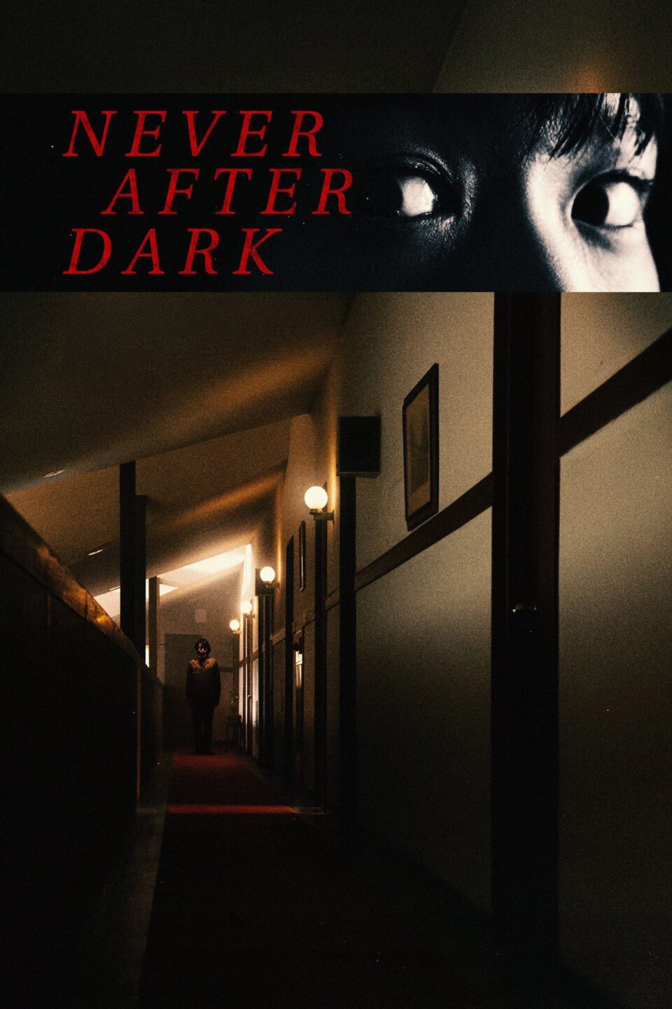 Never After Dark — affiche du film de Dave Boyle