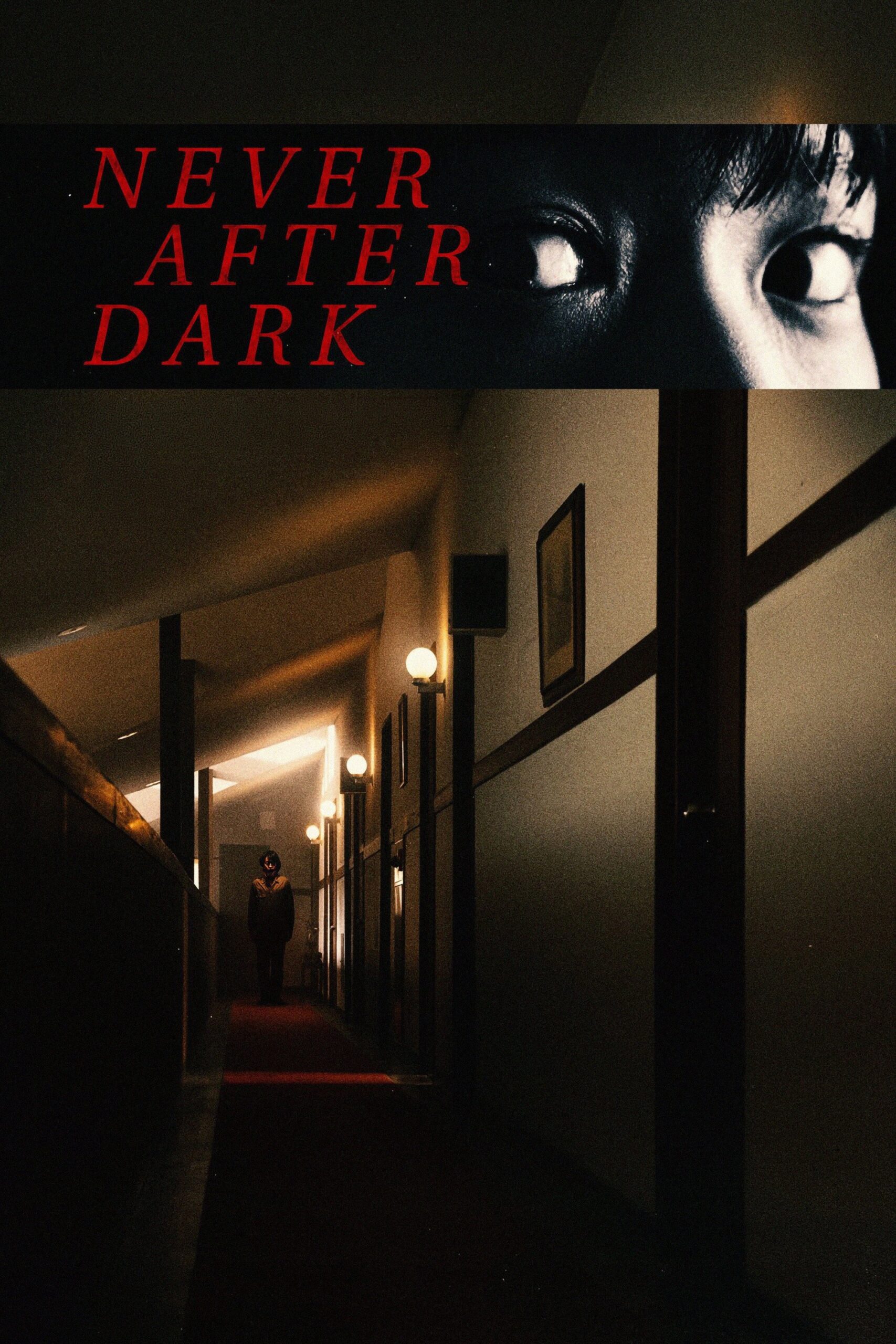 Never After Dark — affiche du film de Dave Boyle