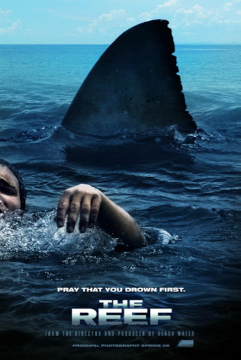 The Reef 2010