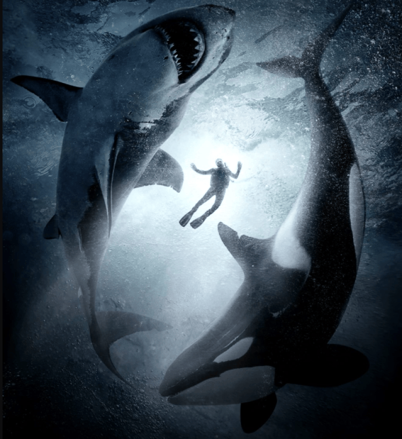 Alphas, creature feature marin avec requins blancs et orques
