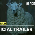 Bande-annonce de Black Sheeps (2026)