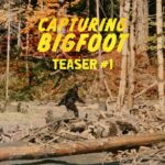Bande-annonce de Capturing Bigfoot, documentaire sur le film Patterson-Gimlin